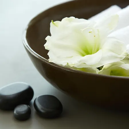 Hotell Mayor Mon Repos Palace - Adults Only