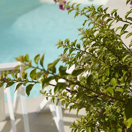 Hotel Mayor Mon Repos Palace - Adults Only Corfu (city)