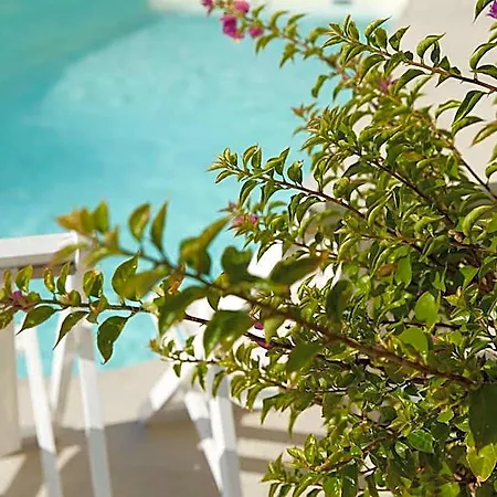 Mayor Mon Repos Palace - Adults Only Ξενοδοχείο Corfu (city)