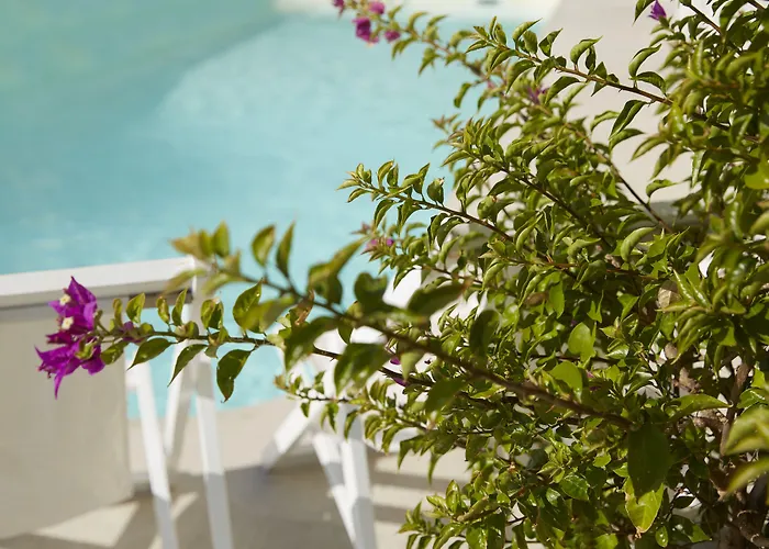 Hotel Mayor Mon Repos Palace - Adults Only Corfu (city)