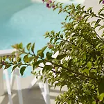 Hotel Mayor Mon Repos Palace - Adults Only Corfu (city)